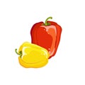 Bulgarian pepper yellow and red, fresh vegetable. Vector illustration. Royalty Free Stock Photo